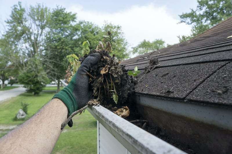 Pressure Washing Cement