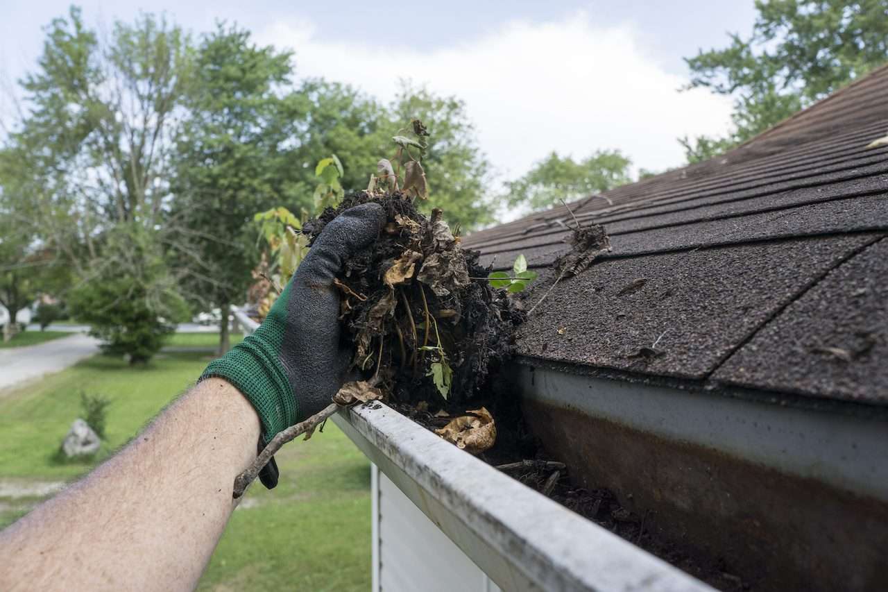 gutter cleaning ocala fl